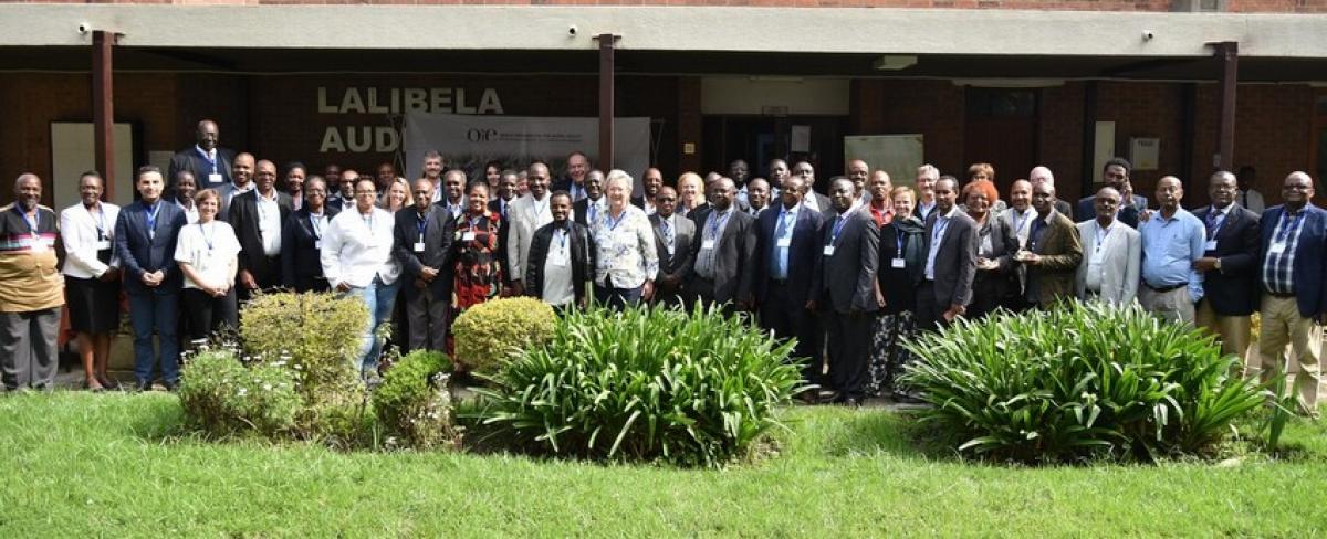 Les participants au 1er atelier régional de formation sur les bonnes pratiques de PPP sur la base du guide OIE, à Addis-Abeba (Éthiopie) les 21-22 août 2019 © OIE